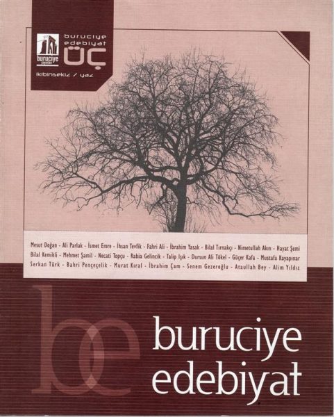 Read more about the article BURUCİYE EDEBİYAT