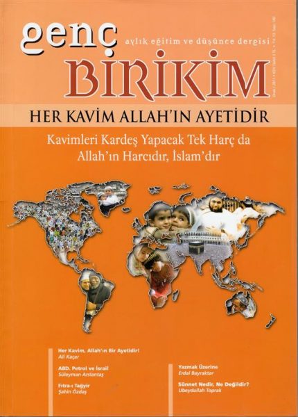 Read more about the article GENÇ BİRİKİM
