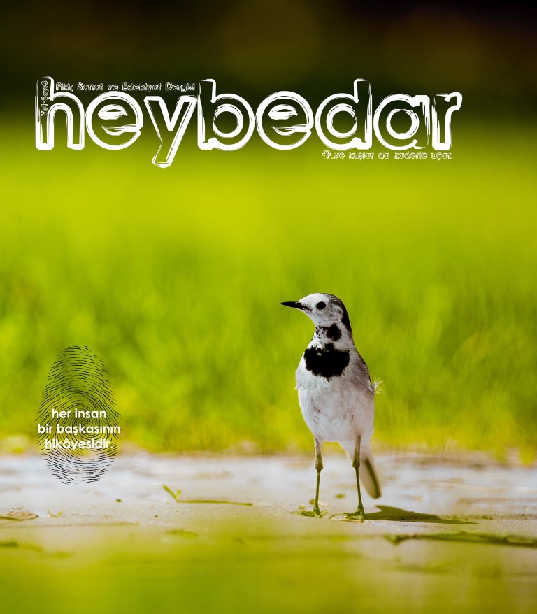 You are currently viewing HEYBEDAR