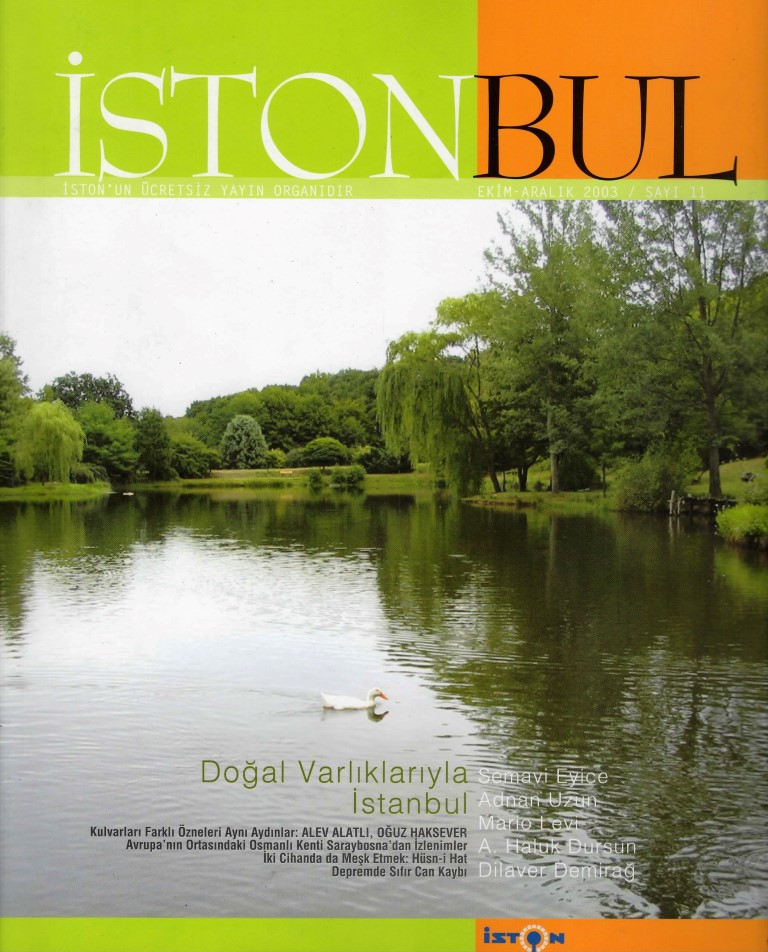You are currently viewing İSTONBUL