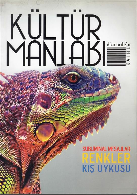 You are currently viewing KÜLTÜR MANTARI