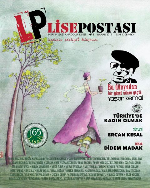 Read more about the article LİSE POSTASI