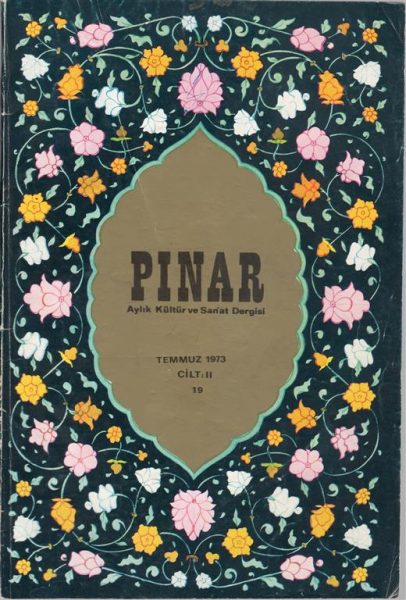 Read more about the article PINAR