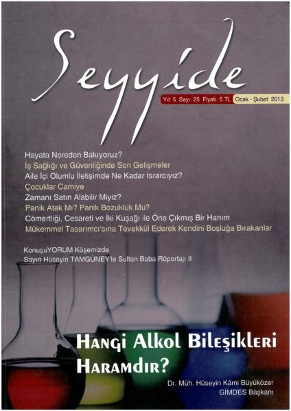 Read more about the article SEYYİDE