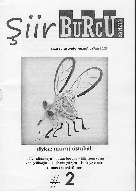 You are currently viewing ŞİİR BURCU