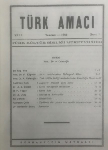 Read more about the article TÜRK AMACI