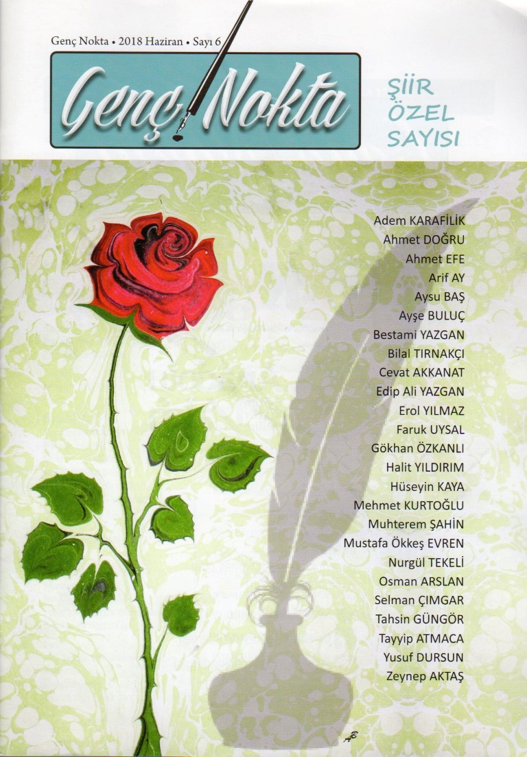 You are currently viewing GENÇ NOKTA