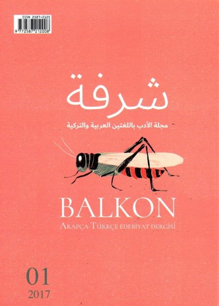 Read more about the article BALKON