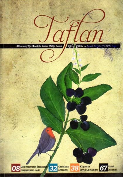 Read more about the article TAFTAN