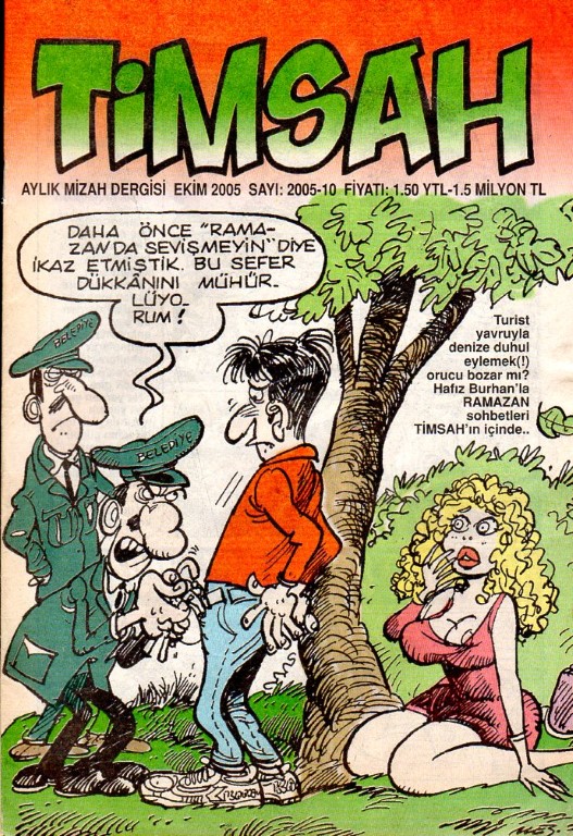 You are currently viewing TİMSAH