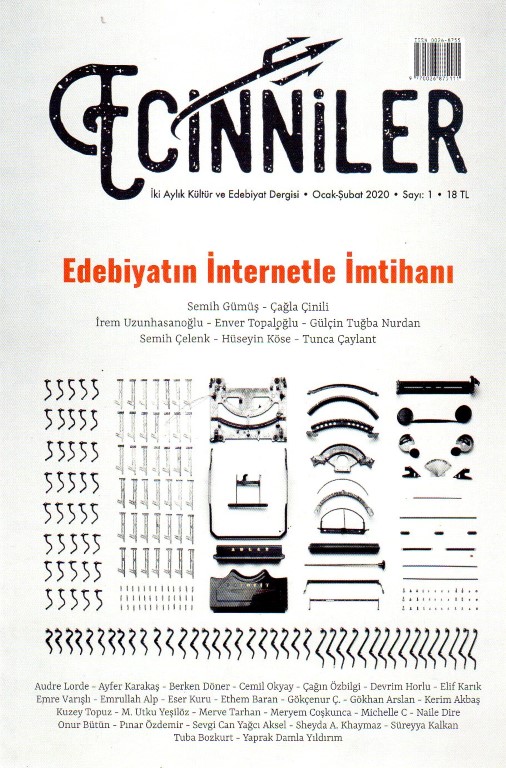 You are currently viewing ECİNNİLER