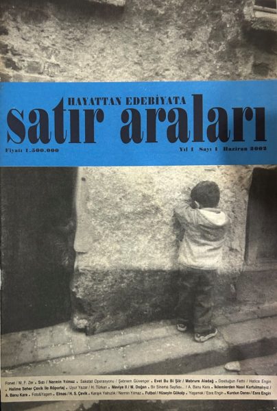 Read more about the article SATIR ARALARI