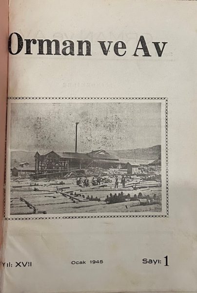 Read more about the article ORMAN VE AV